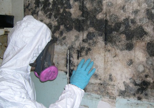 Building Dreams, Fixing Nightmares: Mold Remediation Services For Custom Home Builders In Houston, TX